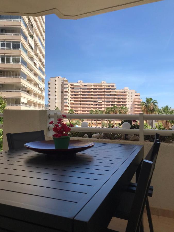 Apartment Apolo